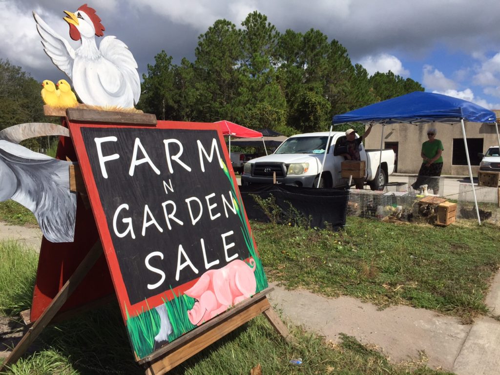 » Should I Buy Animals At a Swap Meet?