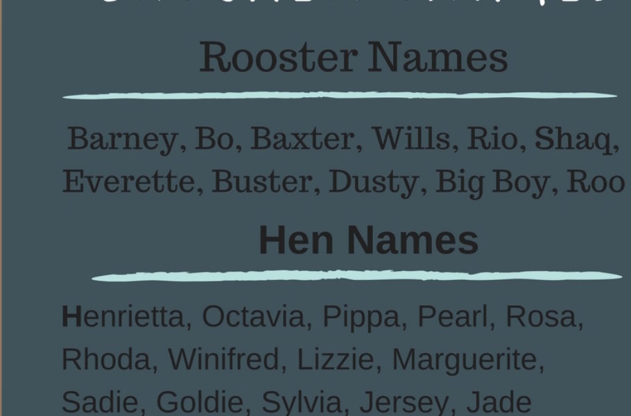 Don't all farmers name their chickens?